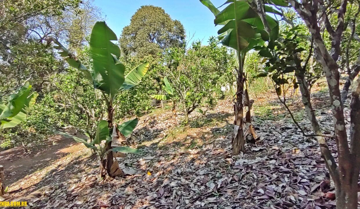 Chácara 3.000 m² a venda em Vargem-SP (20)