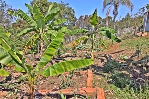 Chácara 3.000 m² a venda em Vargem-SP (25)