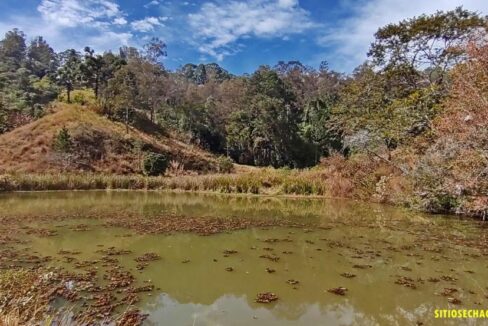 Sítio 6,3 alqueires a venda em Joanópolis SP (7)