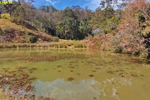 Sítio 6,3 alqueires a venda em Joanópolis SP (9)