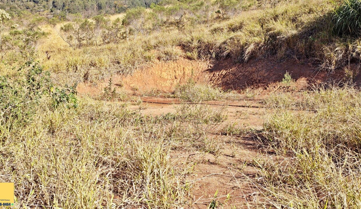 Terreno 1.563m² a venda em Joanópolis-SP (1)