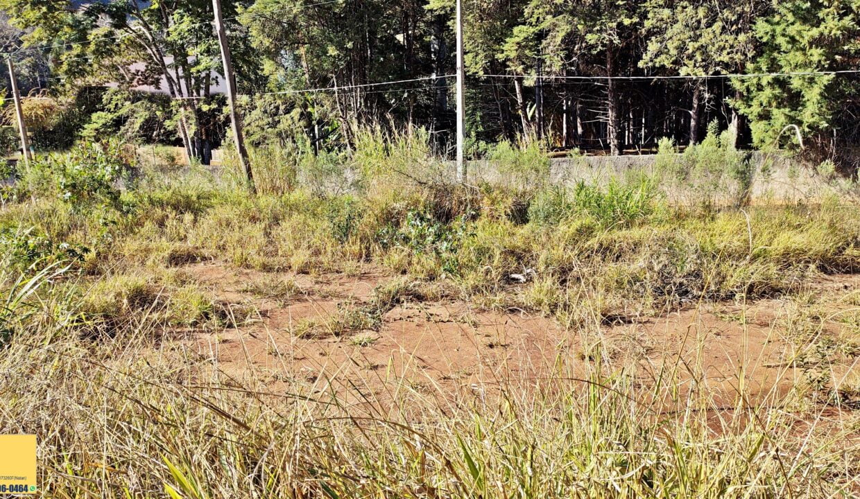 Terreno 1.563m² a venda em Joanópolis-SP (10)