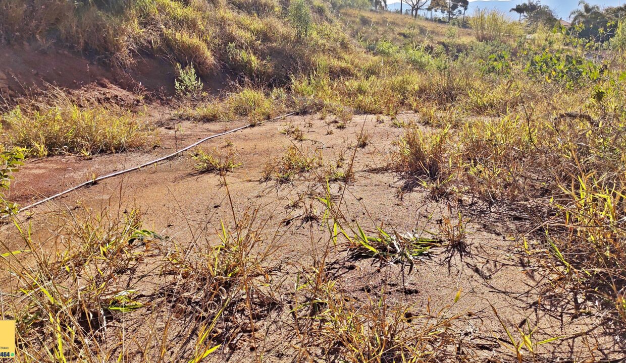 Terreno 1.563m² a venda em Joanópolis-SP (15)