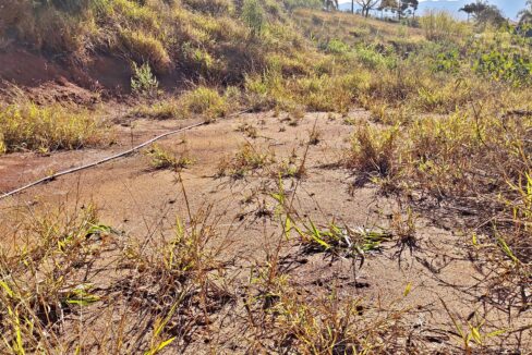 Terreno 1.563m² a venda em Joanópolis-SP (15)