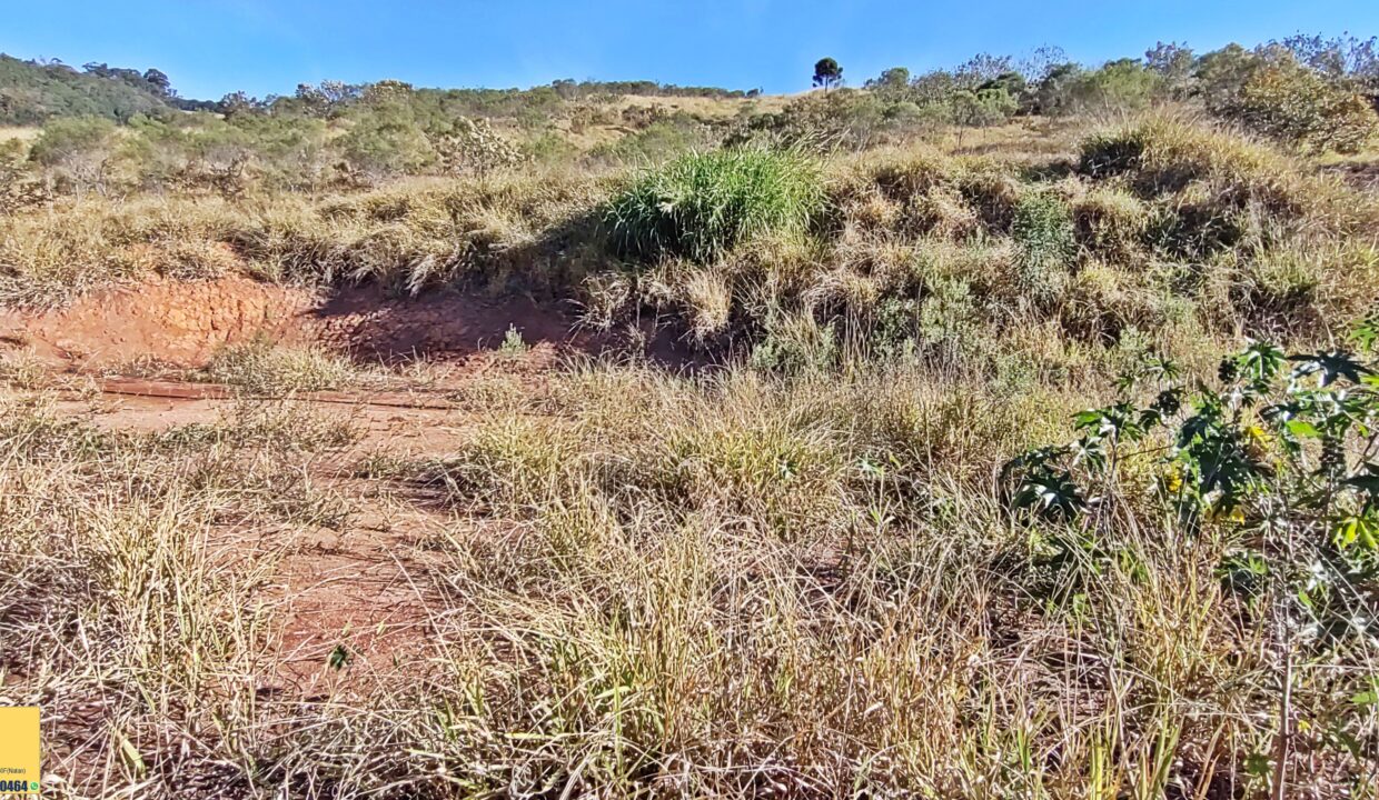 Terreno 1.563m² a venda em Joanópolis-SP (3)