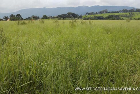 Terreno 21.825m em VargemExtrema MG (5)