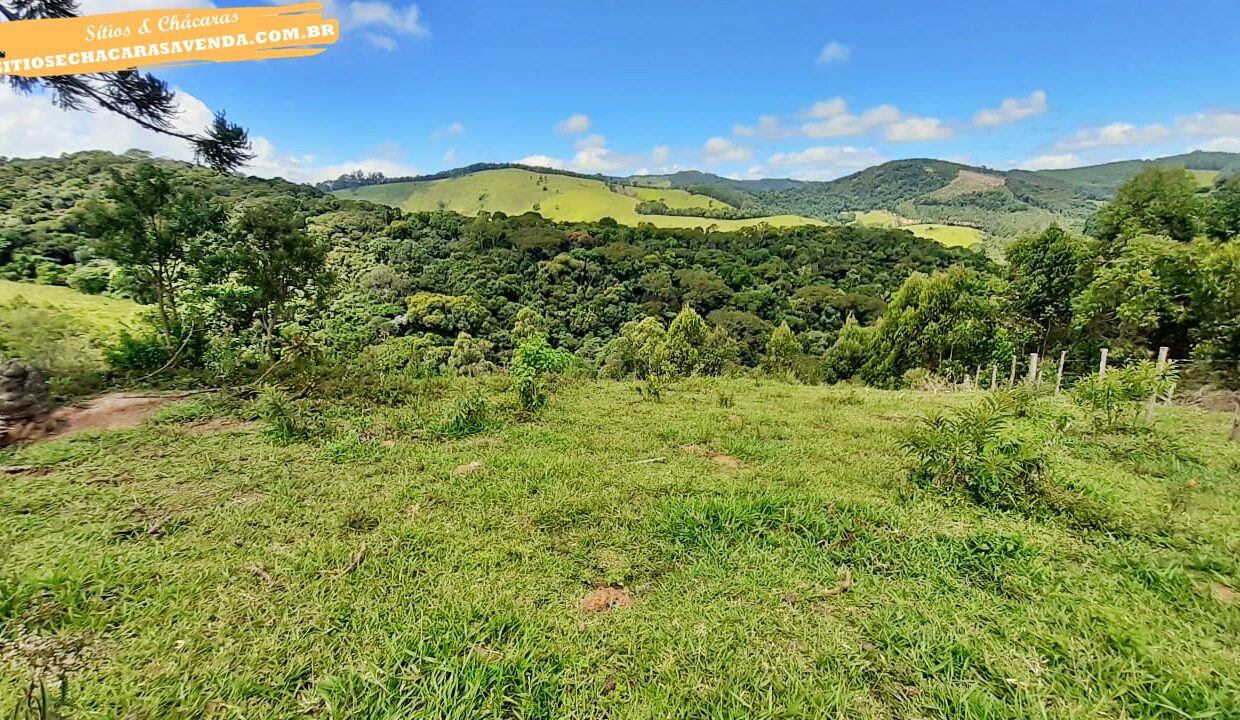 sitio 5 alqueires a venda em Jonaópolis (10)