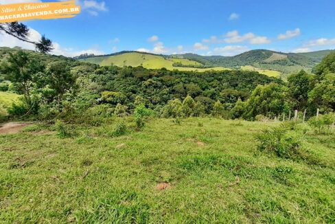 sitio 5 alqueires a venda em Jonaópolis (10)