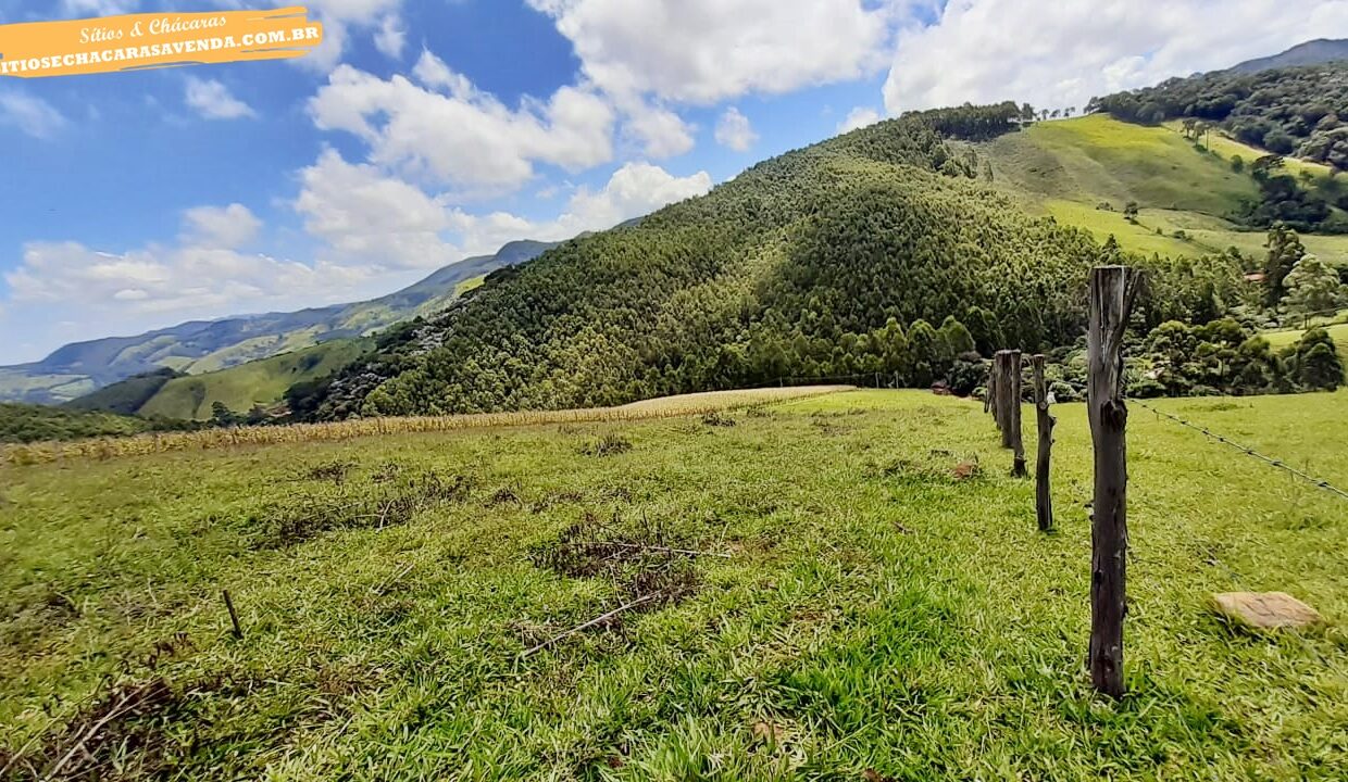 sitio 5 alqueires a venda em Jonaópolis (11)