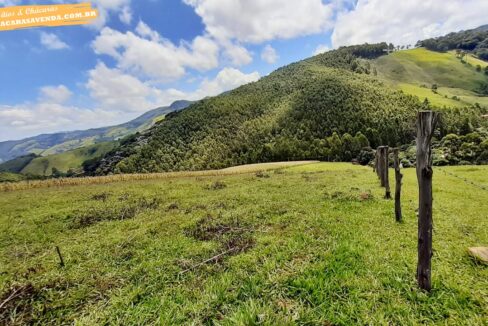 sitio 5 alqueires a venda em Jonaópolis (11)