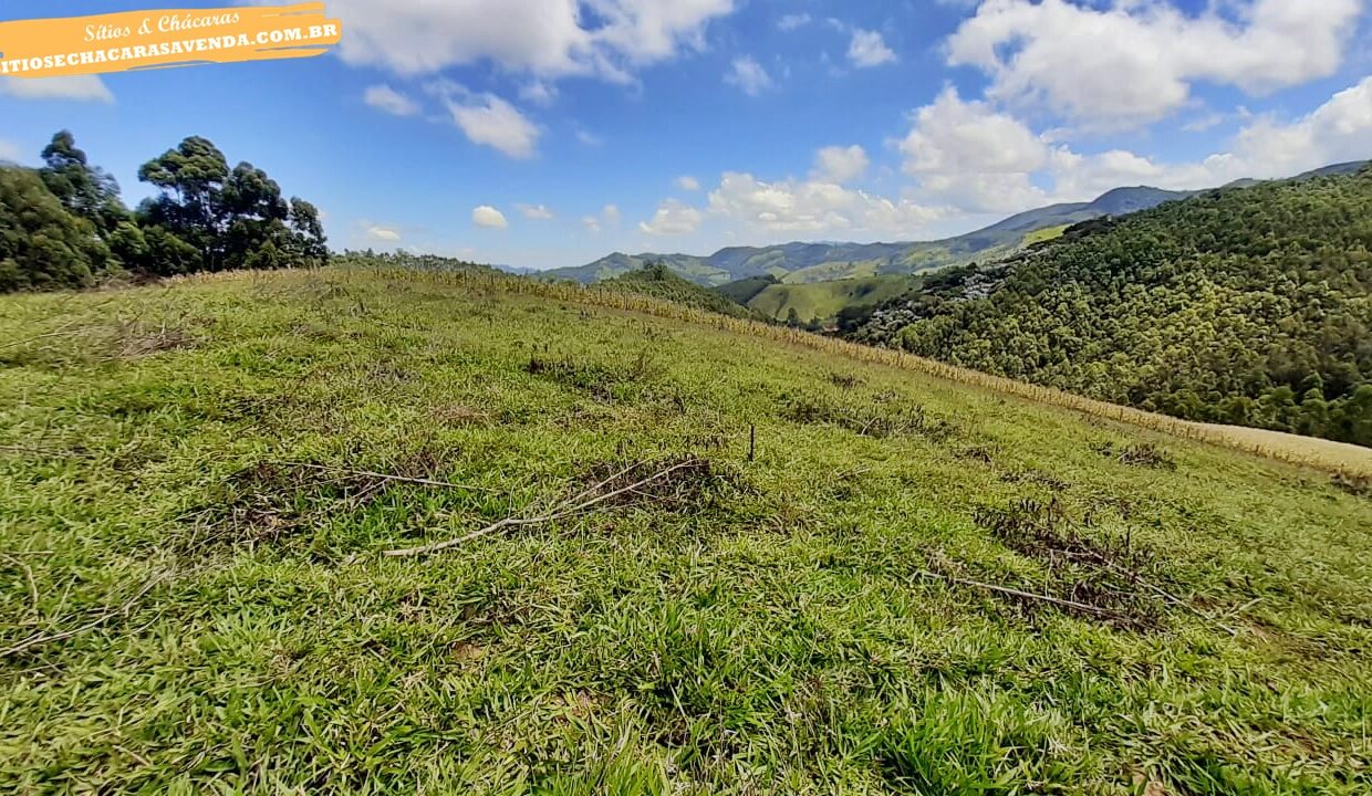 sitio 5 alqueires a venda em Jonaópolis (12)