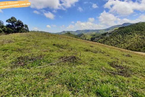 sitio 5 alqueires a venda em Jonaópolis (12)