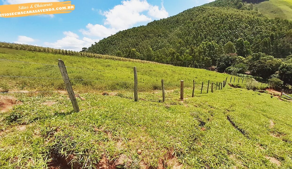 sitio 5 alqueires a venda em Jonaópolis (15)