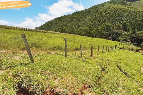 sitio 5 alqueires a venda em Jonaópolis (15)