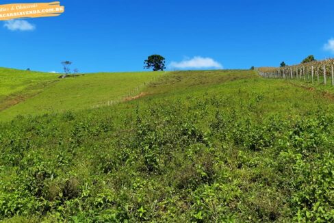 sitio 5 alqueires a venda em Jonaópolis (2)