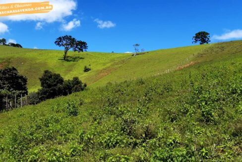 sitio 5 alqueires a venda em Jonaópolis (3)