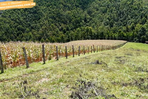 sitio 5 alqueires a venda em Jonaópolis (4)