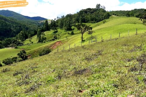 sitio 5 alqueires a venda em Jonaópolis (5)