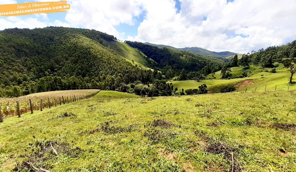 sitio 5 alqueires a venda em Jonaópolis (6)