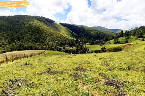 sitio 5 alqueires a venda em Jonaópolis (6)