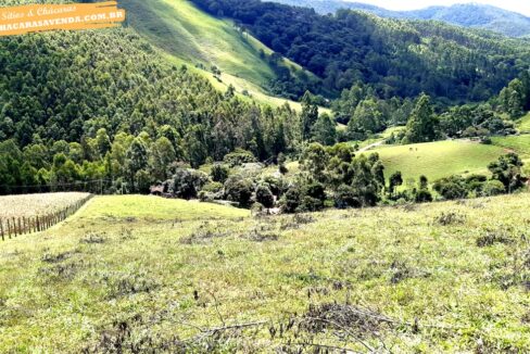 sitio 5 alqueires a venda em Jonaópolis (8)