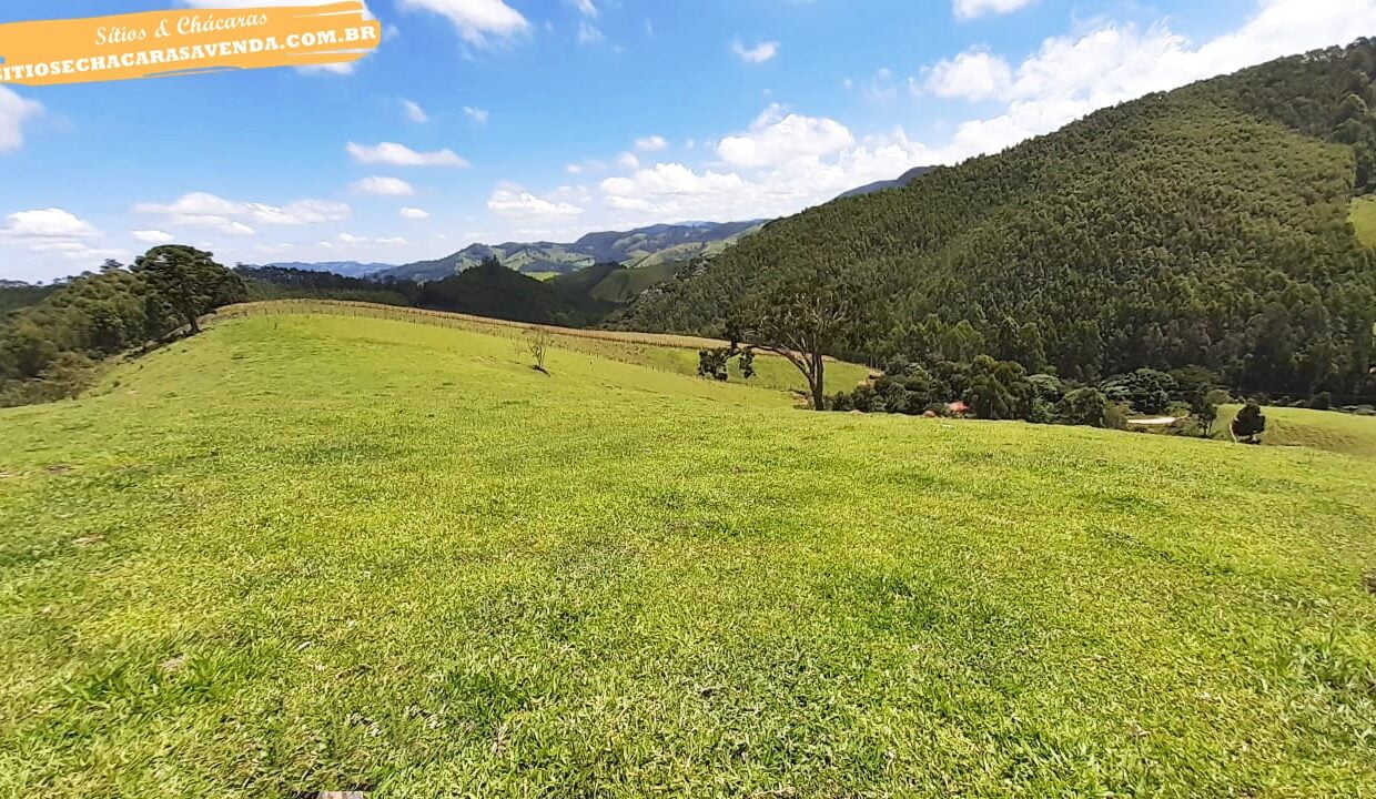 sitio 5 alqueires a venda em Jonaópolis (9)