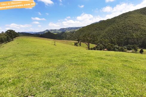 sitio 5 alqueires a venda em Jonaópolis (9)