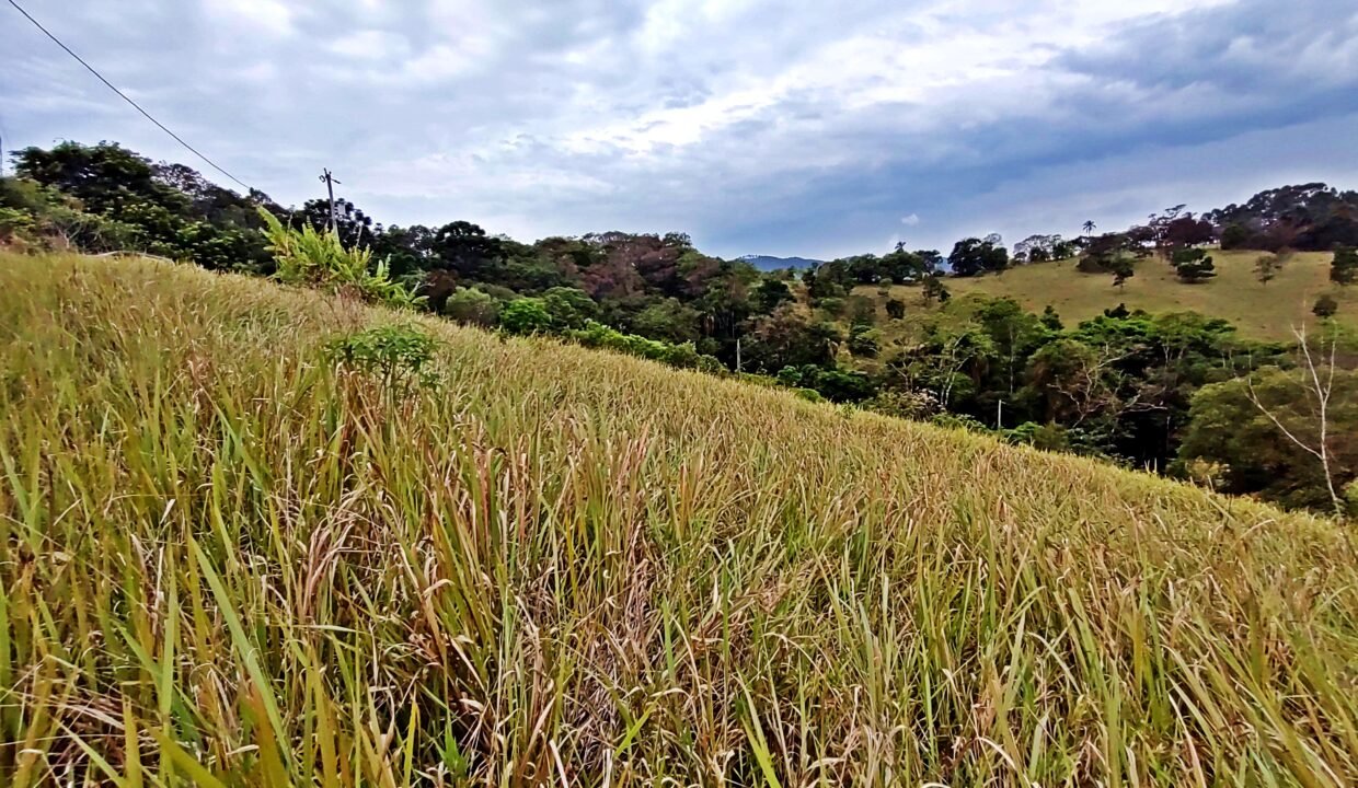 Chácara 4.910m², Próximo A Represa, A Venda Em Joanópolis-sp (3)