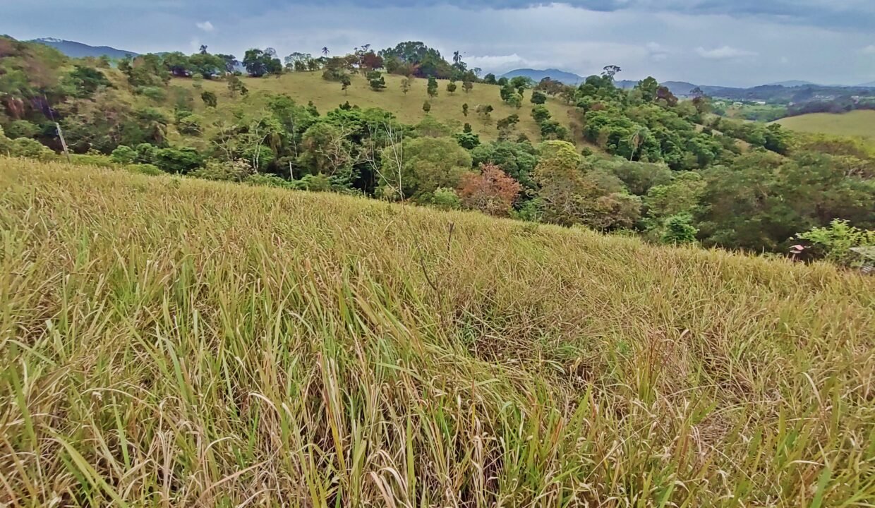 Chácara 4.910m², Próximo A Represa, A Venda Em Joanópolis-sp (5)