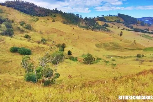 sitio-fazenda 17 alqueires a venda em Joanópolis interior de são paulo (11)