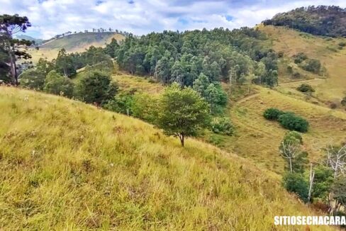 sitio-fazenda 17 alqueires a venda em Joanópolis interior de são paulo (13)