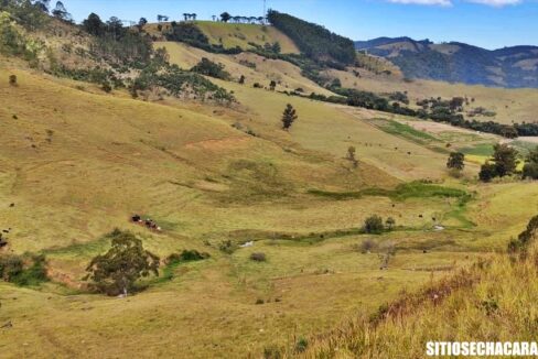 sitio-fazenda 17 alqueires a venda em Joanópolis interior de são paulo (2)