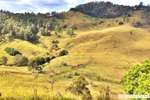 sitio-fazenda 17 alqueires a venda em Joanópolis interior de são paulo (4)