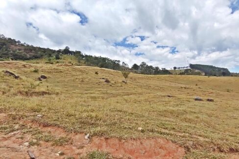 sitio-fazenda 17 alqueires a venda em Joanópolis interior de são paulo (7)