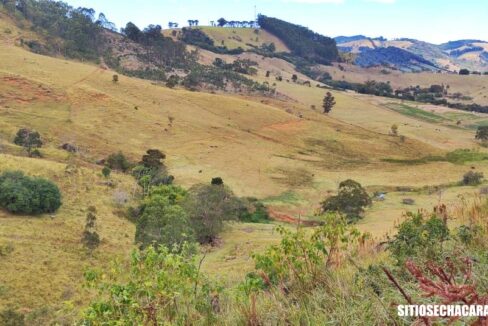 sitio-fazenda 17 alqueires a venda em Joanópolis interior de são paulo (8)