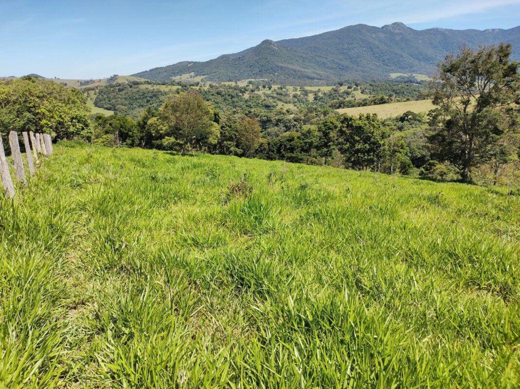 Área pé na água represa/Joanópolis