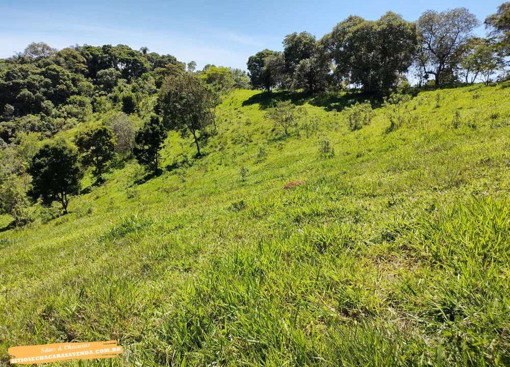 Terreno para venda fundo represa, pé na água em joanópolis, 52.000 metros (13)