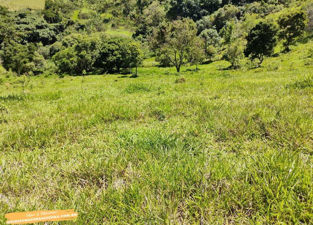 Terreno para venda fundo represa, pé na água em joanópolis, 52.000 metros (14)