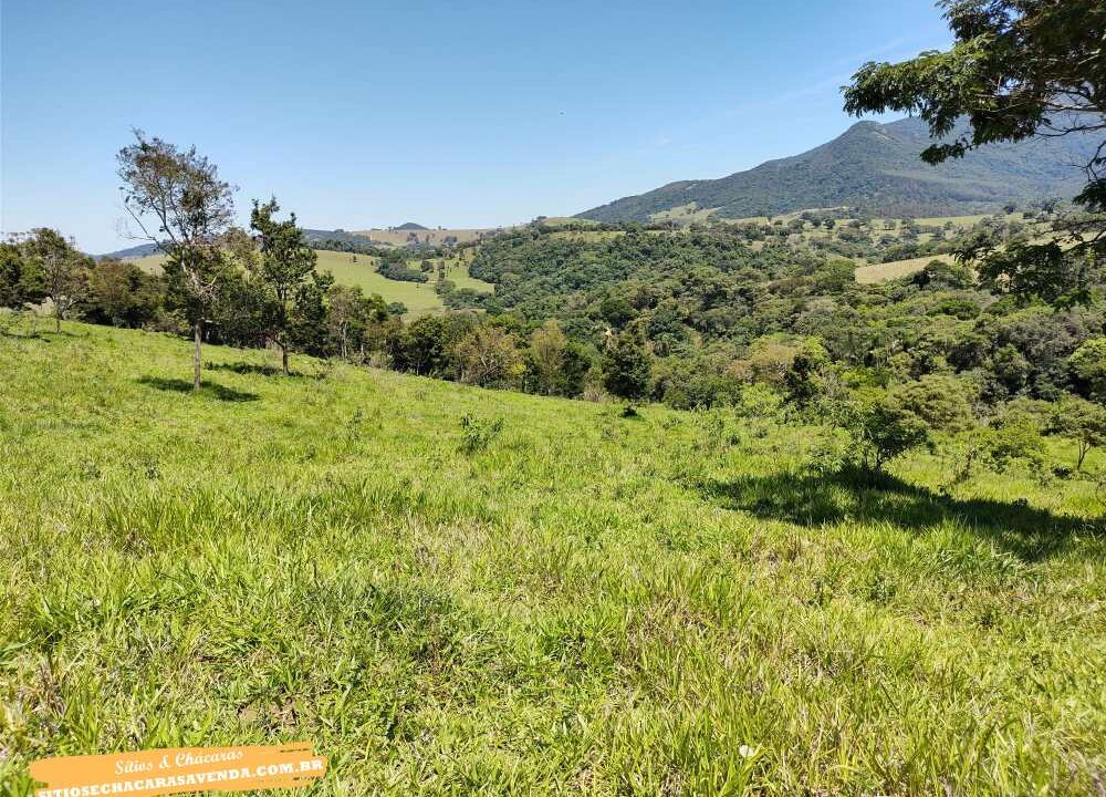 Terreno para venda fundo represa, pé na água em joanópolis, 52.000 metros (15)