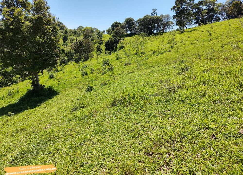 Terreno para venda fundo represa, pé na água em joanópolis, 52.000 metros (16)