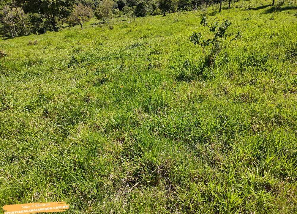 Terreno para venda fundo represa, pé na água em joanópolis, 52.000 metros (2)