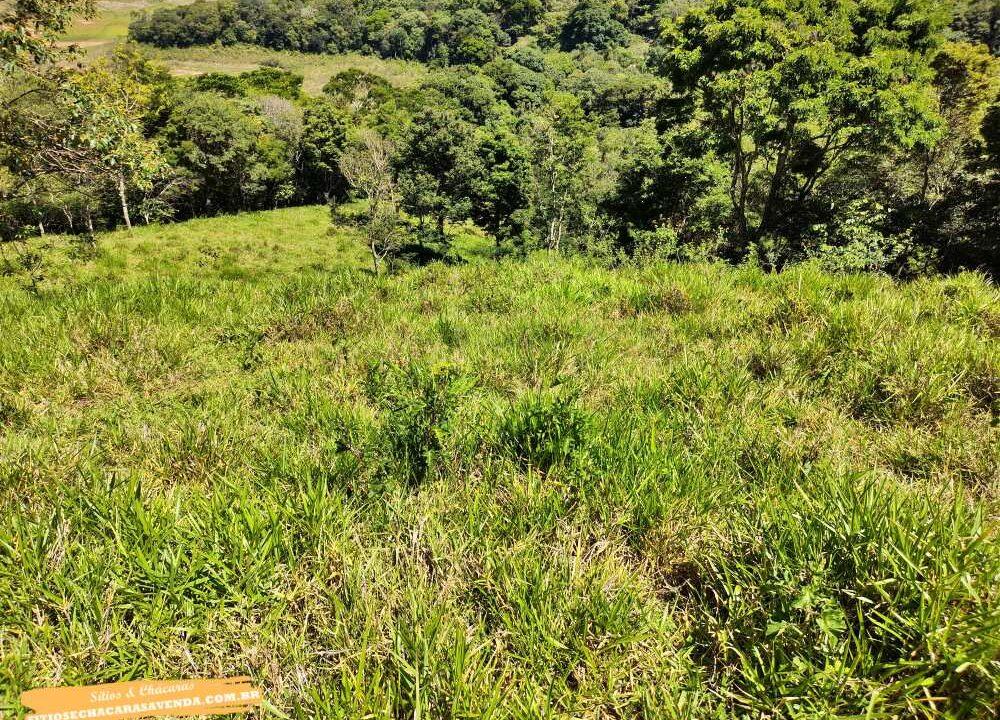 Terreno para venda fundo represa, pé na água em joanópolis, 52.000 metros (22)