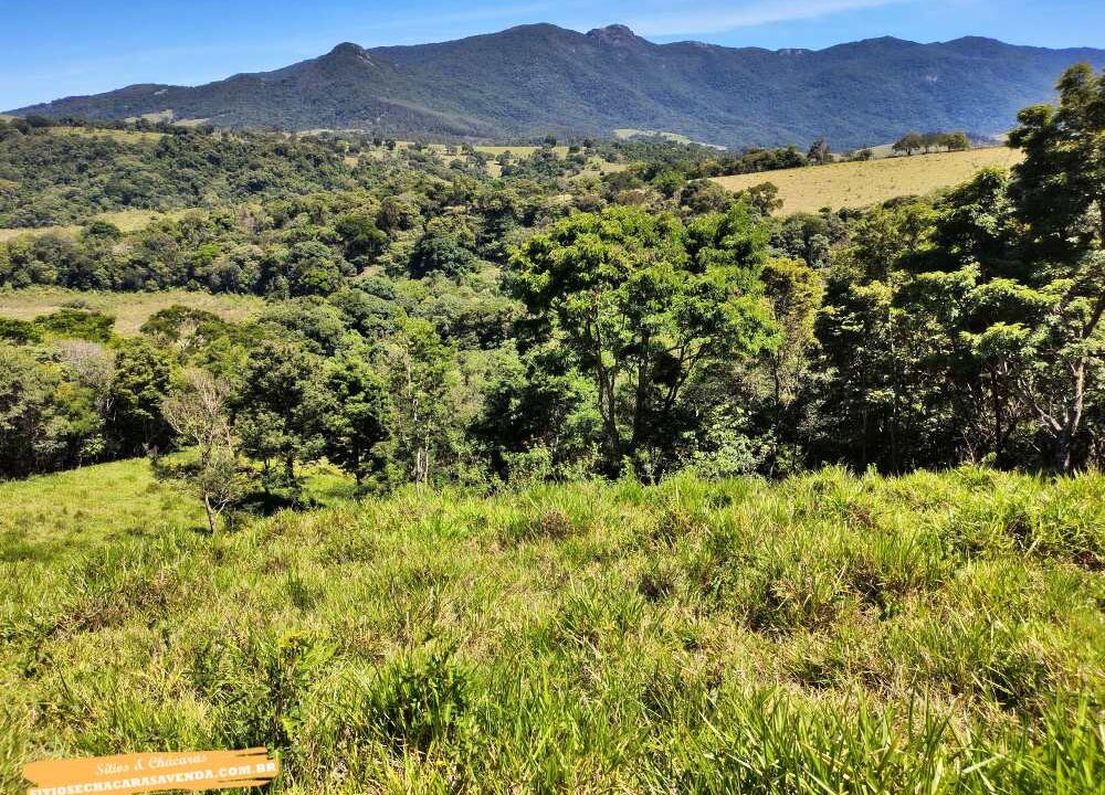 Terreno para venda fundo represa, pé na água em joanópolis, 52.000 metros (23)