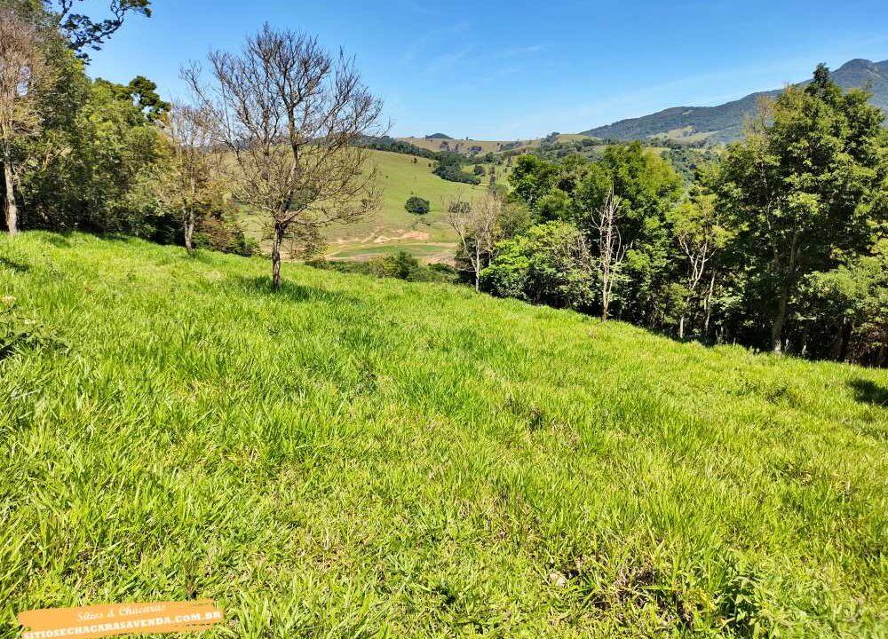 Terreno para venda fundo represa, pé na água em joanópolis, 52.000 metros (25)