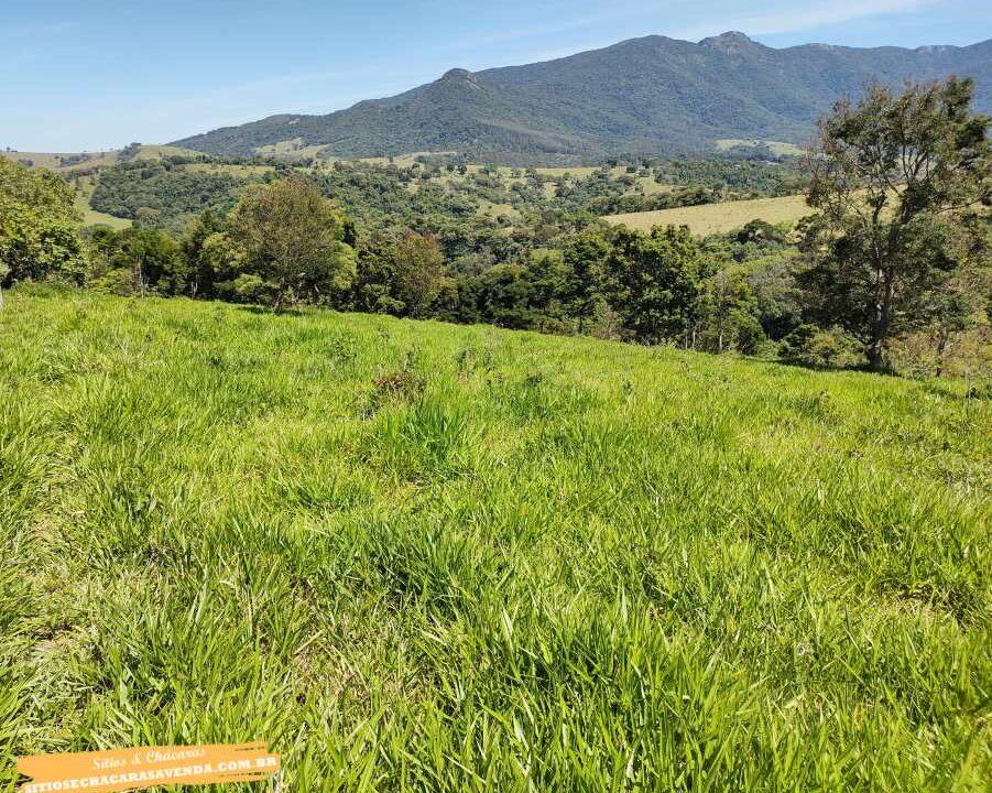 Terreno para venda fundo represa, pé na água em joanópolis, 52.000 metros (3)