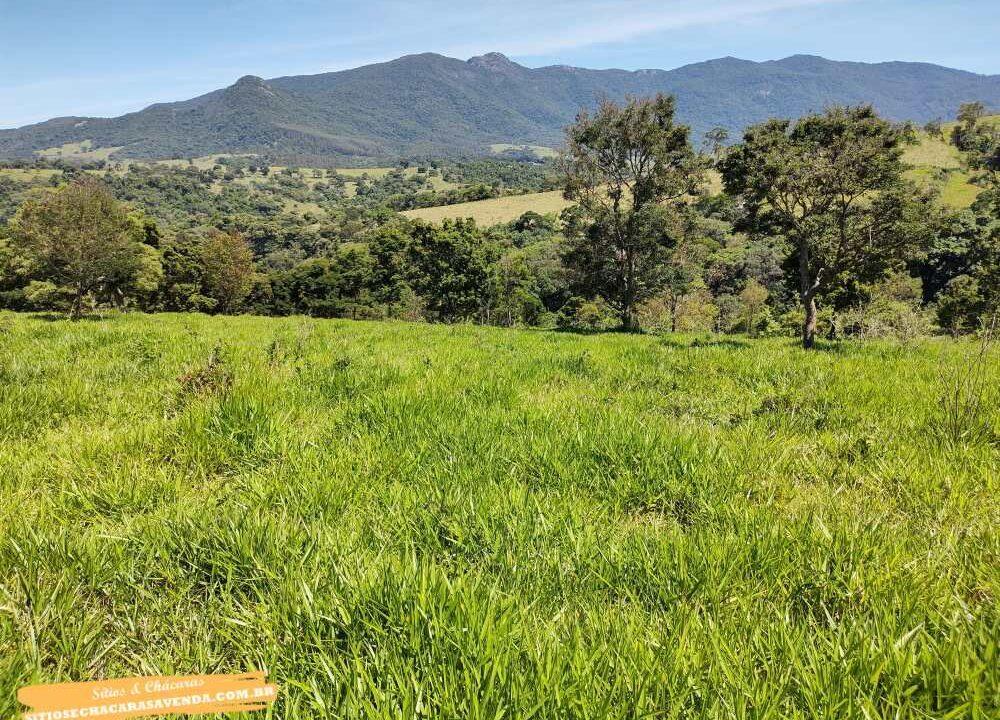 Terreno para venda fundo represa, pé na água em joanópolis, 52.000 metros (4)