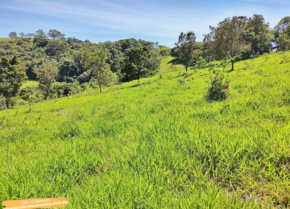 Terreno para venda fundo represa, pé na água em joanópolis, 52.000 metros (5)