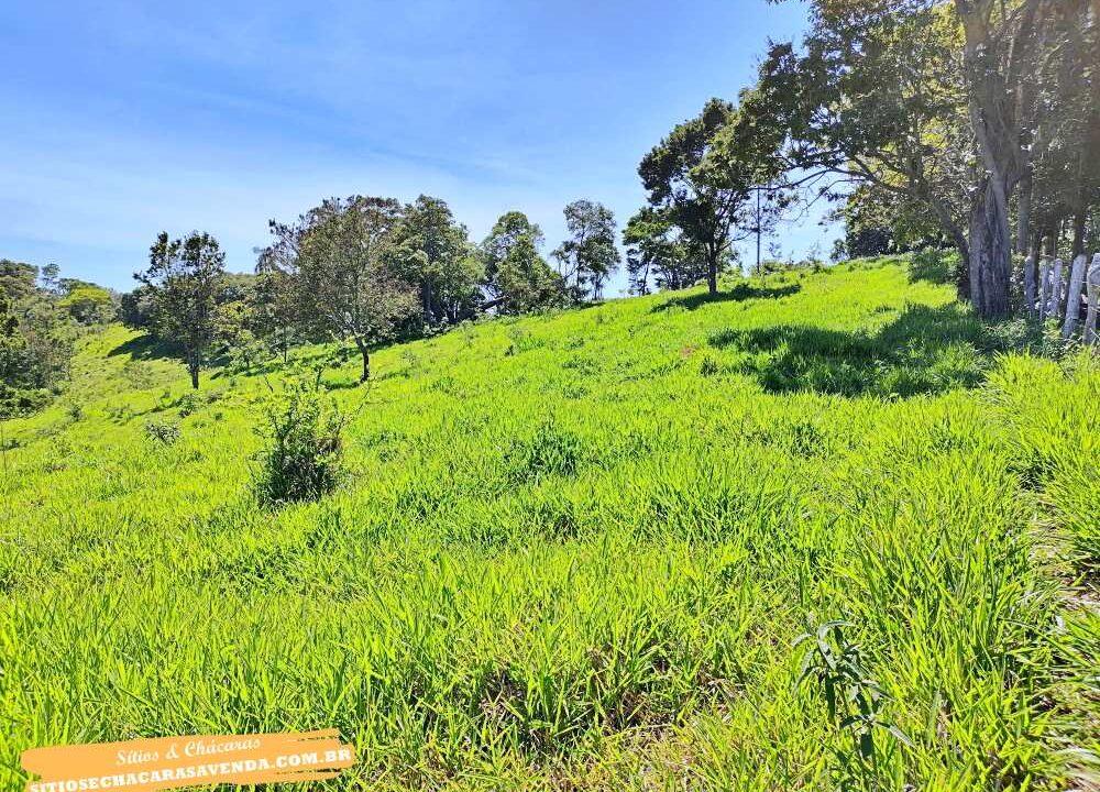 Terreno para venda fundo represa, pé na água em joanópolis, 52.000 metros (7)