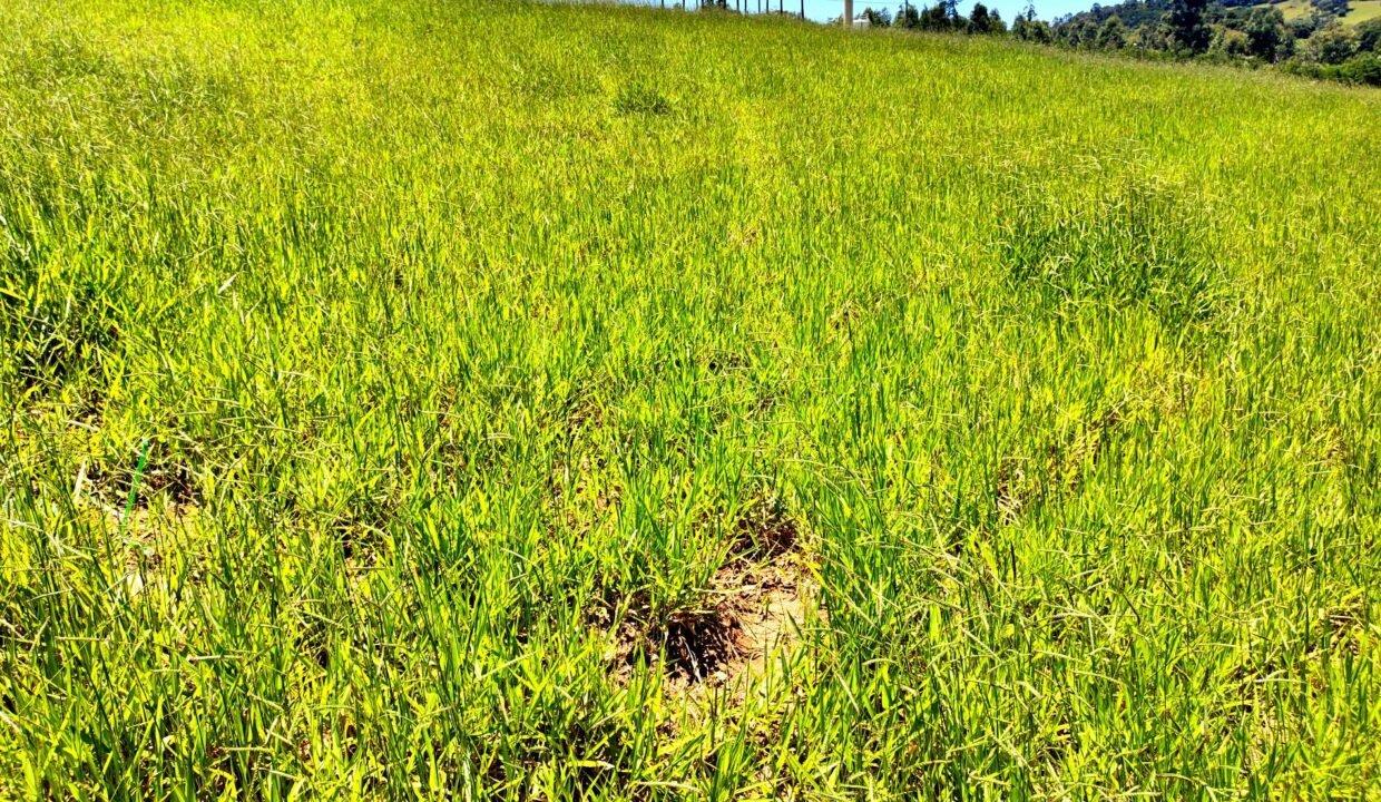 Terreno a venda na represa do Jaguari, condominio represa das serras em Vargem SP (4)