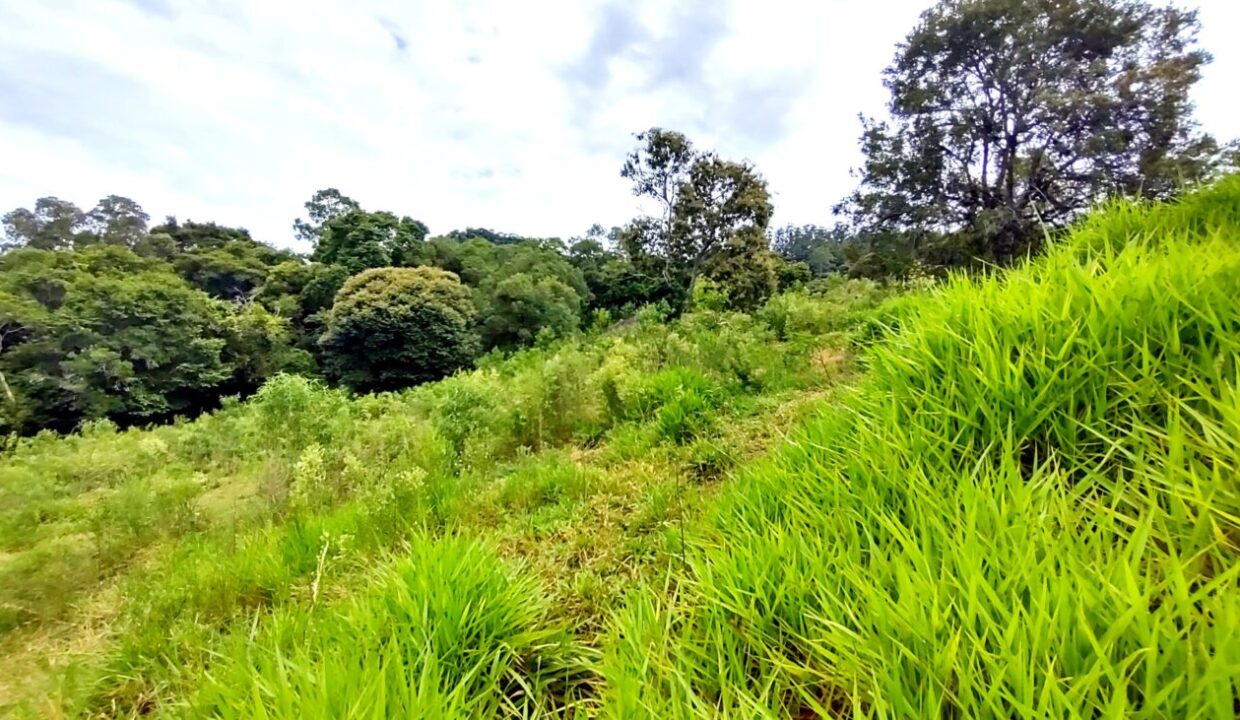 terreno grande 6.000 m² vista para a represa jaguari a venda em joanópolis (14)